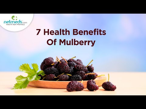 Black Mulberry: Health Benefits, Side Effects, and Uses