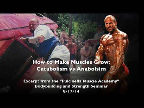Understanding Catabolism and Anabolism in Fitness Routines post thumbnail image