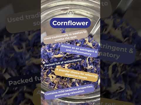 Cornflower Benefits and Side Effects: What You Need to Know