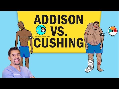 Understanding Addison's Disease: Key Symptoms and Diagnosis