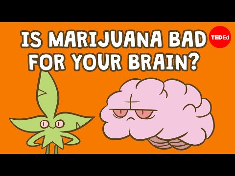 Can You Overdose on Marijuana? Understanding Risks and Facts