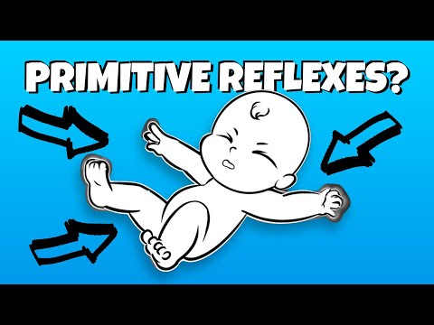 Understanding Primitive Reflexes: Their Role in Health and Wellness