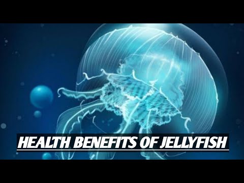 Can You Eat Jellyfish? Discover the Health Benefits and Risks post thumbnail image