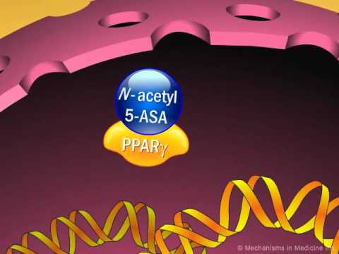 Understanding Aminosalicylates: Benefits, Risks, and Brands