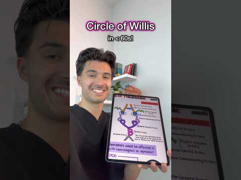 Understanding the Circle of Willis: Anatomy and Health Impacts