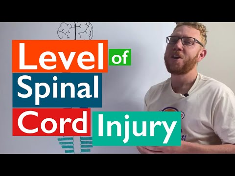 Understanding Spinal Cord Injury: Signs and Prevention Steps