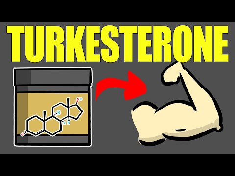 Understanding Ecdysteroids: Benefits and Risks for Health