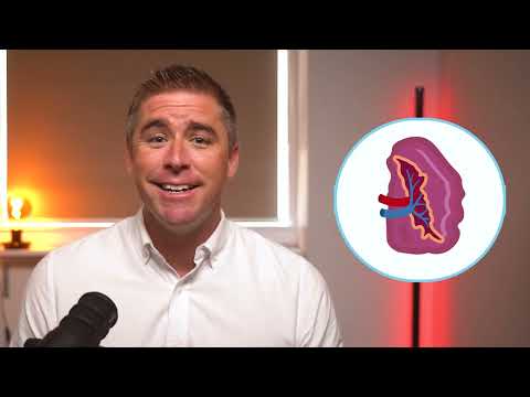 Understanding Spleen Size Variations by Weight and Gender
