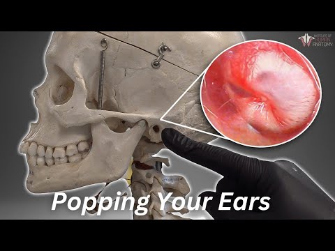 Why Do Your Ears Pop? The Surprising Truth Explained post thumbnail image