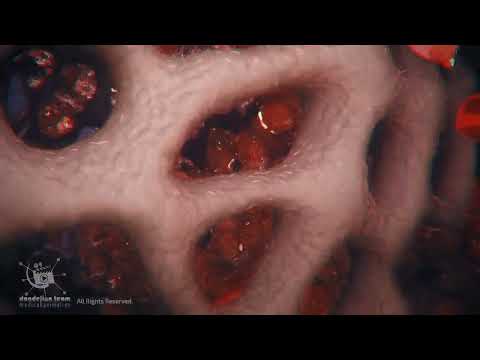 Understanding What Happens to Our Bodies During Sex