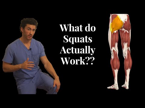Understanding Leg Anatomy for Better Bone and Muscle Health