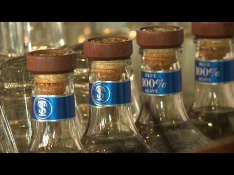 Tequila and Your Health: Benefits or Risks?