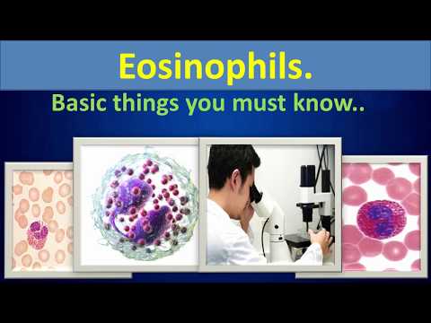 Understanding Eosinophil Counts: What You Should Know
