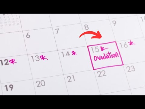 Mastering Ovulation and Fertility: Key Insights for You