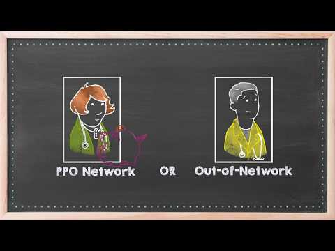 HMO or PPO: Which Health Plan Fits Your Needs Best?