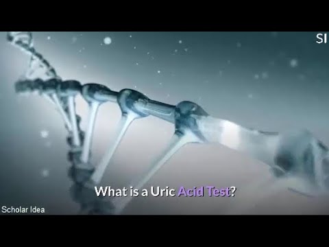 Understanding the Uric Acid Test: What It Means for Your Health