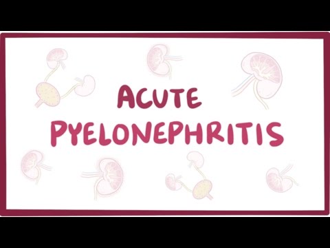 Understanding Pyelonephritis: Symptoms, Causes, and Care During Pregnancy