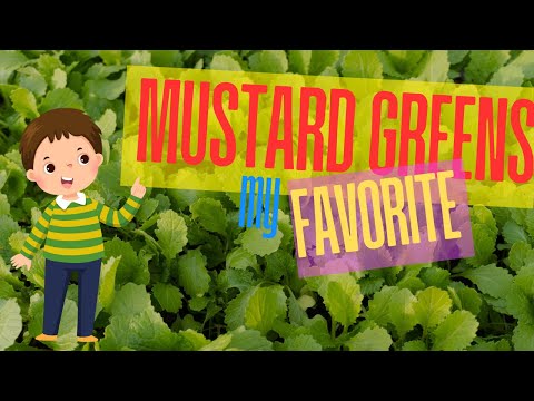 Mustard Greens: Nutritional Powerhouse and Health Perks