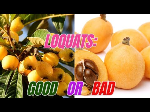 7 Surprising Perks of Eating Loquats Daily