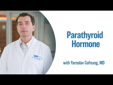 Understanding the Parathyroid Hormone Blood Test and Its Importance