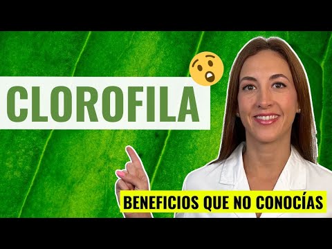 Clorofila líquida: Beneficios y riesgos que debes considerar post thumbnail image