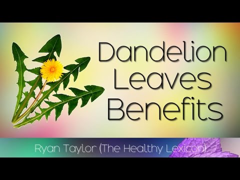 Dandelion: Benefits, Risks, and How to Use It Wisely