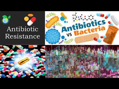 Understanding Antibiotics: How They Work and Their Timeline