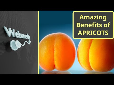 Apricots: A Delicious Boost for Your Health and Well-Being