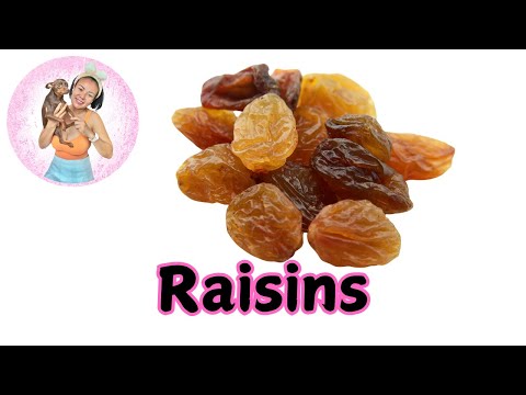 Raisins: A Healthy Snack or Risky Treat for Your Wellness?