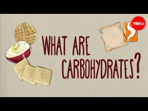 Understanding Beer: Calories, Carbs, and Protein Impact on Health