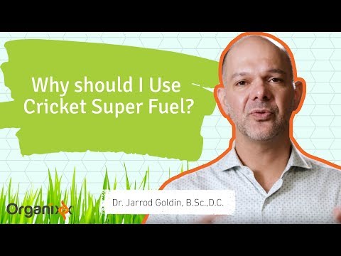 Enhancing Nutrition: The Benefits of Cricket Flour for Health