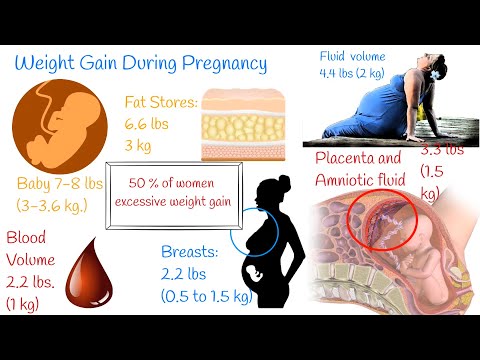 Understanding Normal Weight Gain During Pregnancy post thumbnail image