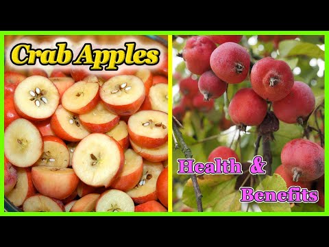 Are Crab Apples Safe to Eat? Health Benefits and Risks