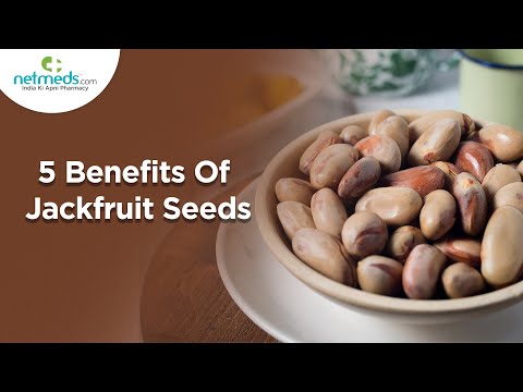 Jackfruit Seeds: Nutritional Benefits and Health Concerns Explained