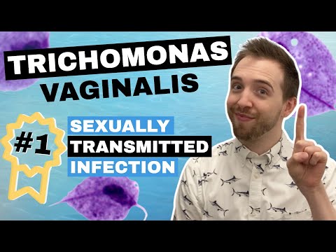 Effective Treatments for Trichomoniasis: What You Should Know