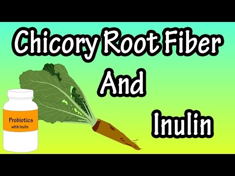 5 Surprising Benefits and Uses of Chicory Root Fiber