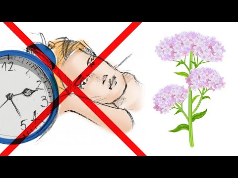 4 Valerian Root Side Effects You Should Be Aware Of