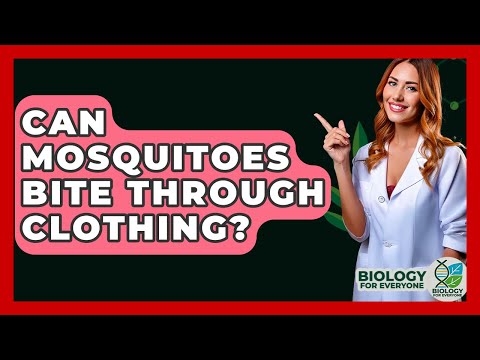 Protect Yourself: Do Mosquitoes Bite Through Clothing?