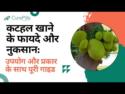 Jackfruit's Health Benefits: A Natural Aid for Wellness