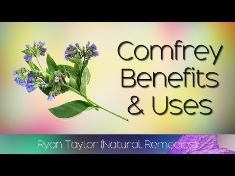 Understanding Comfrey Cream: Uses, Benefits, and Risks