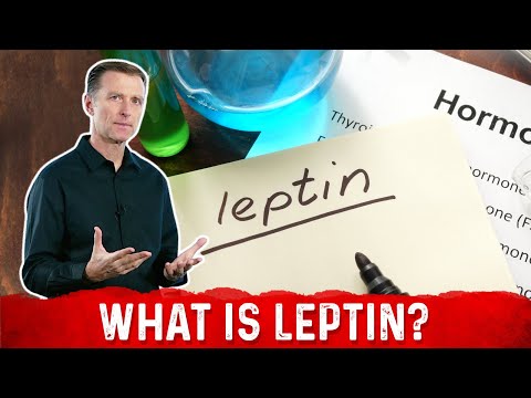 Leptin and Leptin Resistance: Key Insights for Better Health