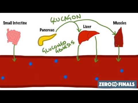 Understanding Blood Glucose Tests: Process and Importance post thumbnail image
