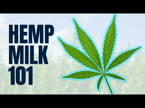 Hemp Milk: Good for Your Health or Just a Trend?