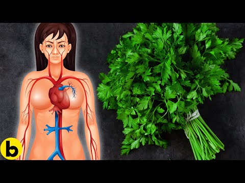 Explore Nutritious Parsley Substitutes for Better Health