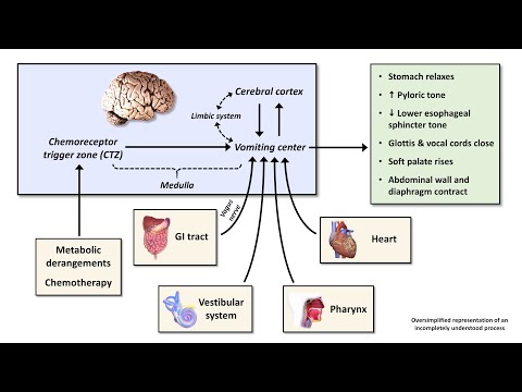 Understanding Nausea and Vomiting: Causes and Effective Treatments