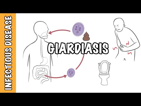 Giardiasis: Understanding Its Causes, Symptoms, and Care