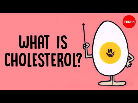 Understanding Cholesterol: Why Your Body Needs It
