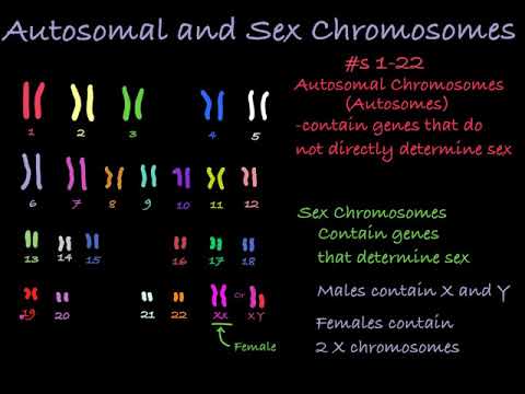 Understanding Karyotyping in Genetic Health and Disease post thumbnail image