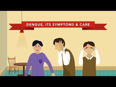 Dengue Fever: Recognizing Symptoms and Managing Risks