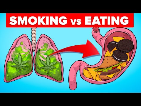 How Long for Edibles to Work? Understanding Their Effects on Health